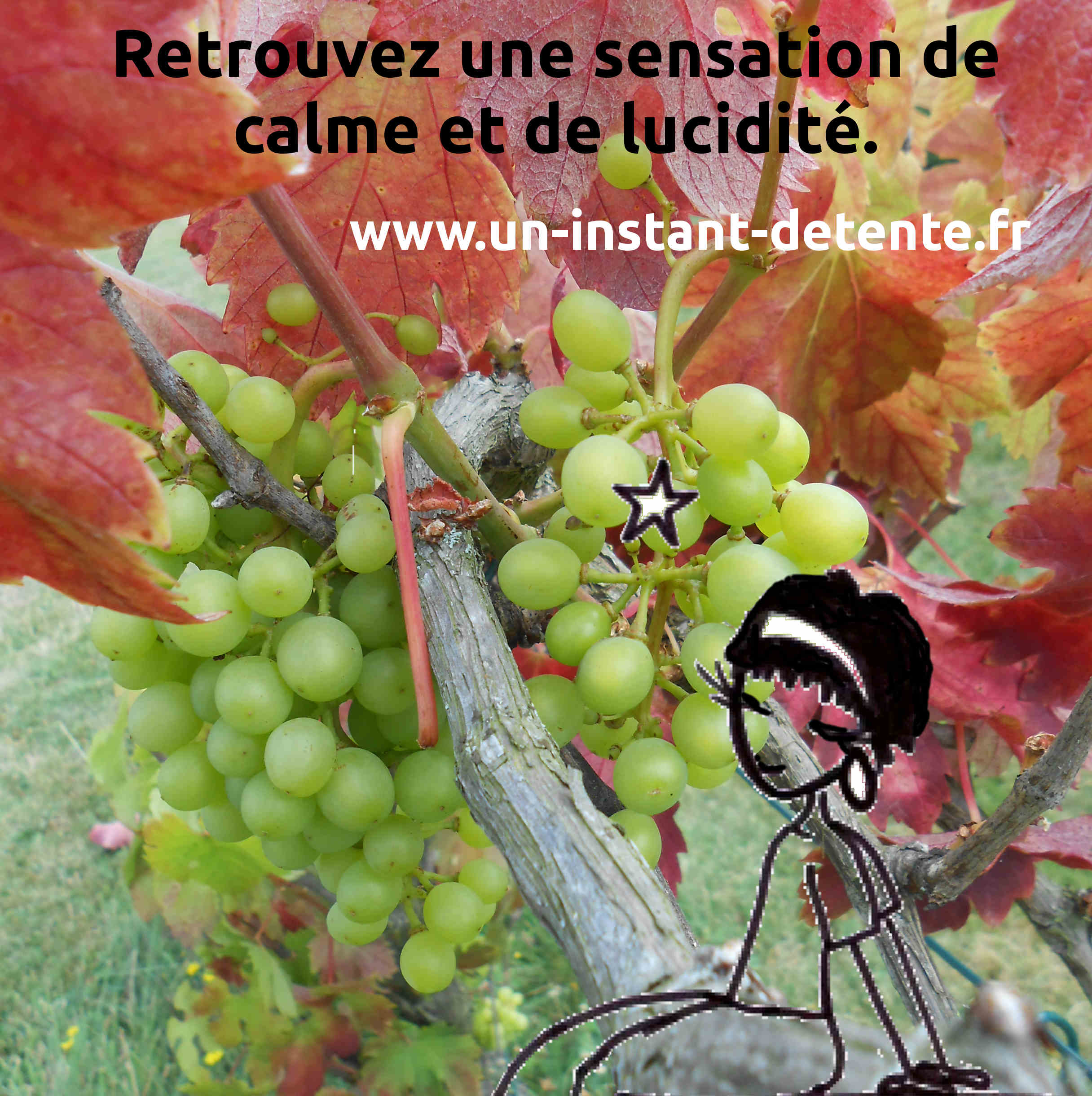 Utopia et le raisin